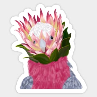 Galah Cockatoo + King Protea Sticker